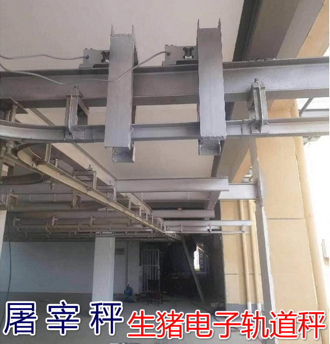 生豬屠宰場(chǎng)專用電子軌道秤